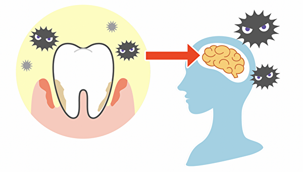 歯周病が全身疾患に繋がってしまう仕組みを解説｜アイキャッチ画像｜恵比寿の歯医者 恵比寿デンタルクリニック東京